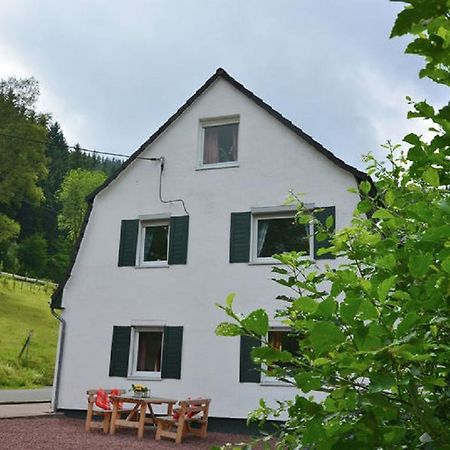 Haus Elpe Naehe Meschede Winterberg Villa Olsberg Exterior photo